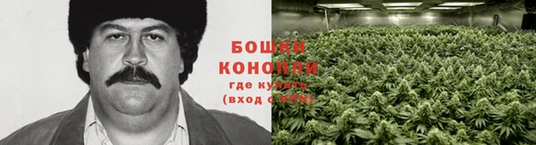 трава Балахна