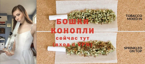 трава Балахна