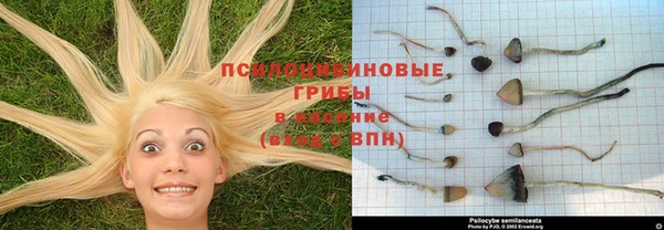 не бодяженный Баксан
