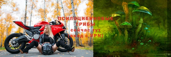 трава Балахна